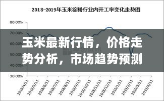 玉米最新行情，价格走势分析，市场趋势预测报告