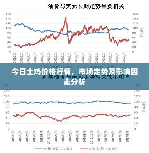 今日土鸡价格行情，市场走势及影响因素分析