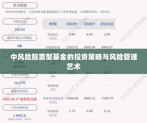 中风险股票型基金的投资策略与风险管理艺术