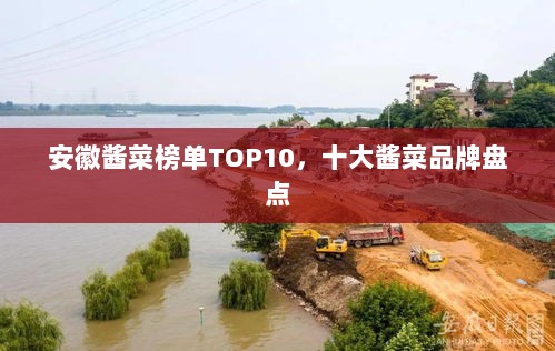 安徽酱菜榜单TOP10，十大酱菜品牌盘点