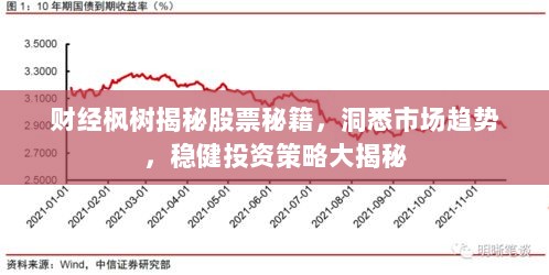 财经枫树揭秘股票秘籍，洞悉市场趋势，稳健投资策略大揭秘