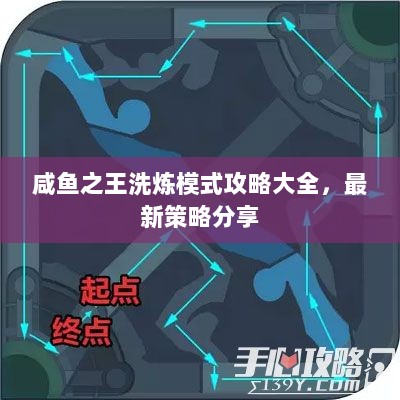 咸鱼之王洗炼模式攻略大全，最新策略分享