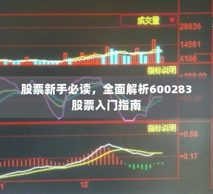 股票新手必读，全面解析600283股票入门指南