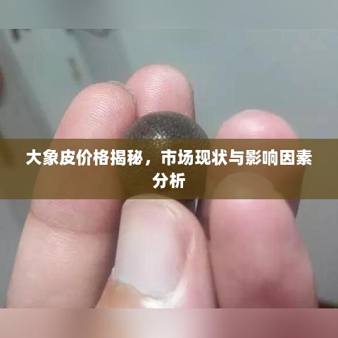 大象皮价格揭秘，市场现状与影响因素分析