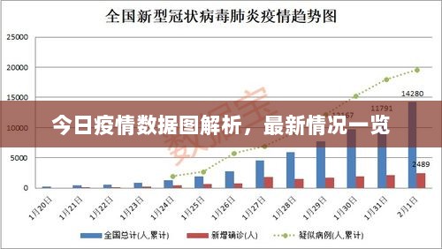 今日疫情数据图解析，最新情况一览