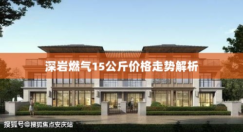 深岩燃气15公斤价格走势解析