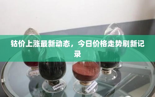 钴价上涨最新动态，今日价格走势刷新记录