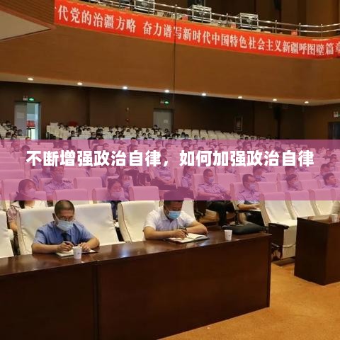 不断增强政治自律，如何加强政治自律 