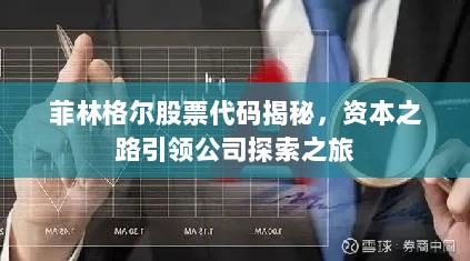 菲林格尔股票代码揭秘，资本之路引领公司探索之旅