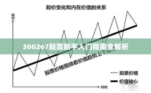 300267股票新手入门指南全解析