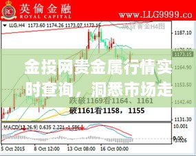 金投网贵金属行情实时查询，洞悉市场走势，投资必备参考