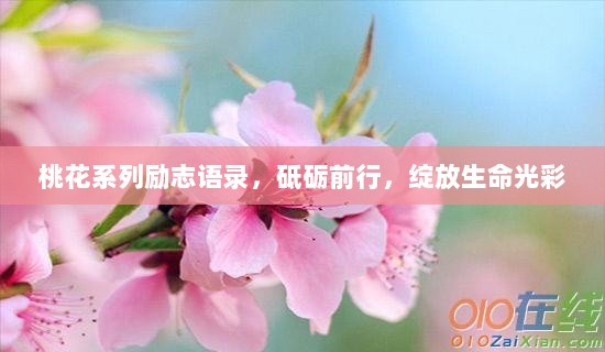 桃花系列励志语录，砥砺前行，绽放生命光彩