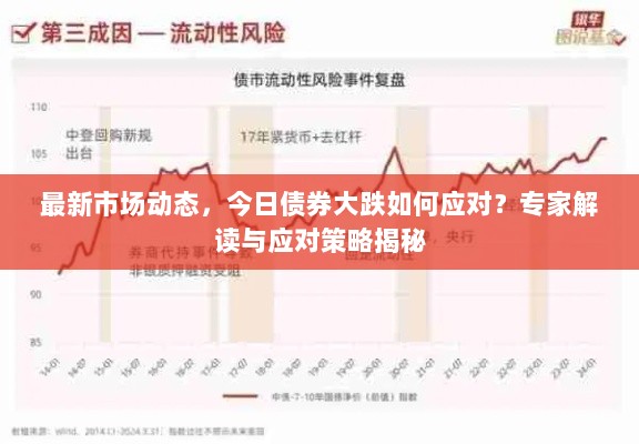 最新市场动态，今日债券大跌如何应对？专家解读与应对策略揭秘