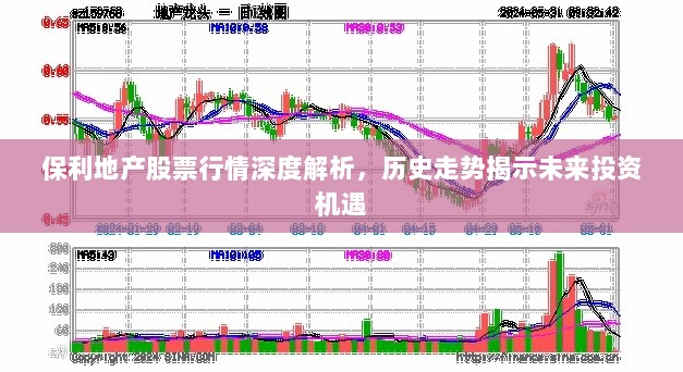 保利地产股票行情深度解析，历史走势揭示未来投资机遇