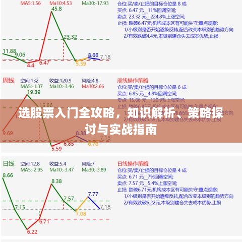 2025年2月2日 第5页