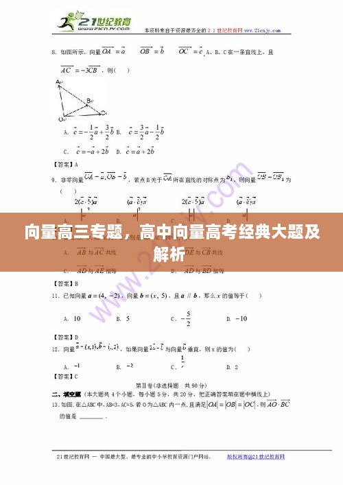 向量高三专题，高中向量高考经典大题及解析 