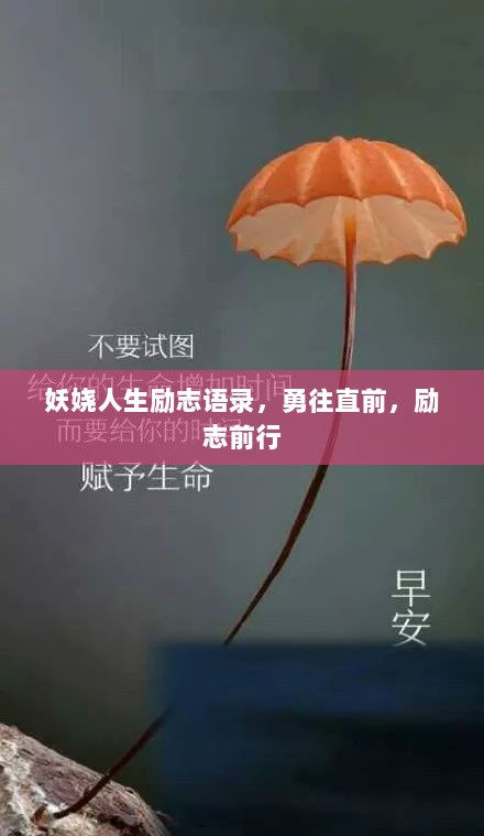 妖娆人生励志语录，勇往直前，励志前行