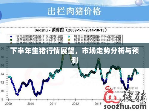 下半年生猪行情展望，市场走势分析与预测