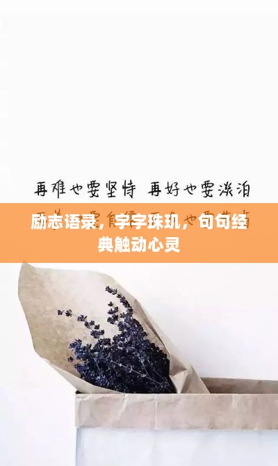 励志语录，字字珠玑，句句经典触动心灵