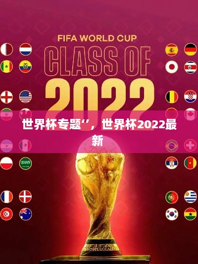 世界杯专题‘’，世界杯2022最新 