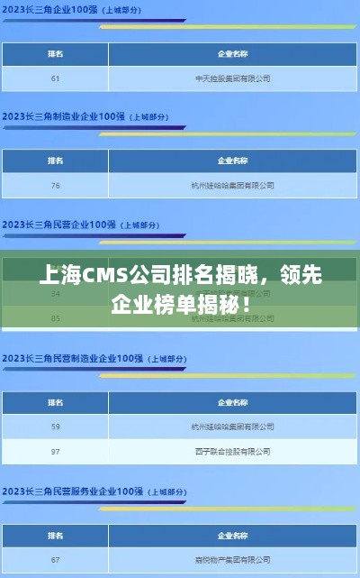 上海CMS公司排名揭晓，领先企业榜单揭秘！