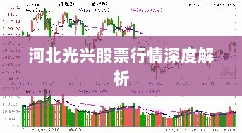 河北光兴股票行情深度解析