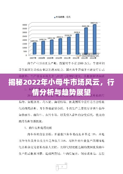 揭秘2022年小母牛市场风云，行情分析与趋势展望