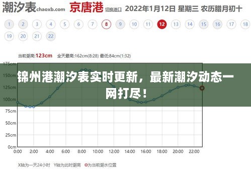 2025年2月4日 第6页