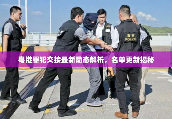 粤港罪犯交接最新动态解析，名单更新揭秘