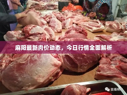 麻阳最新肉价动态，今日行情全面解析