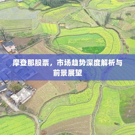 摩登那股票，市场趋势深度解析与前景展望