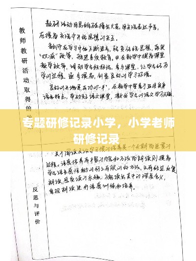 专题研修记录小学，小学老师研修记录 