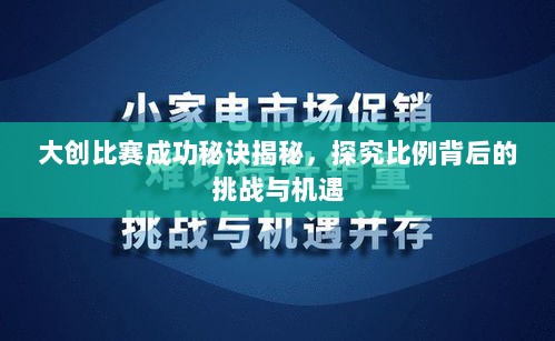 2025年2月5日 第12页