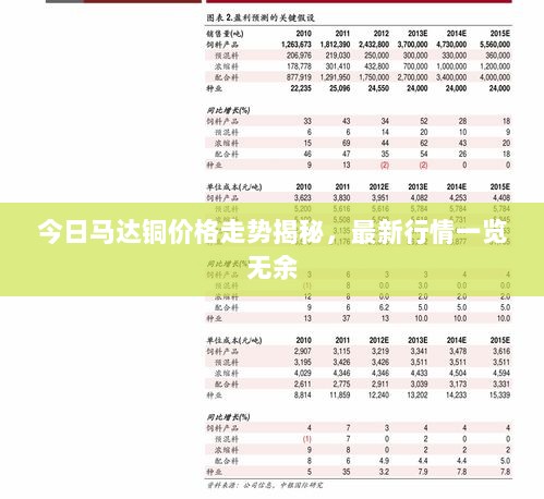 2025年2月5日 第6页