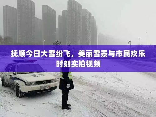 抚顺今日大雪纷飞，美丽雪景与市民欢乐时刻实拍视频