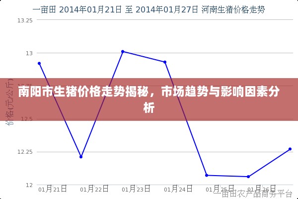 南阳市生猪价格走势揭秘，市场趋势与影响因素分析