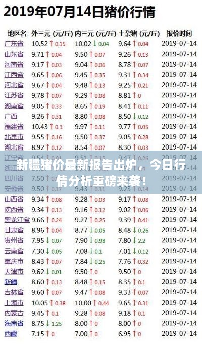 新疆猪价最新报告出炉，今日行情分析重磅来袭！