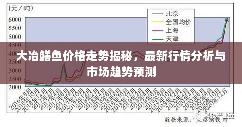 大冶鳝鱼价格走势揭秘，最新行情分析与市场趋势预测