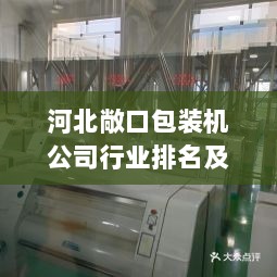 河北敞口包装机公司行业排名及影响力揭秘