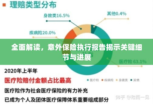 全面解读，意外保险执行报告揭示关键细节与进展