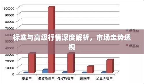 标准与高级行情深度解析，市场走势透视