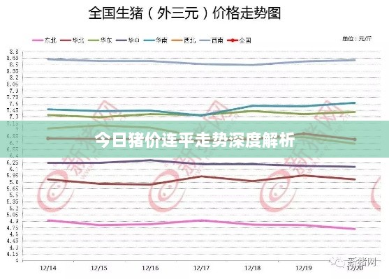 今日猪价连平走势深度解析