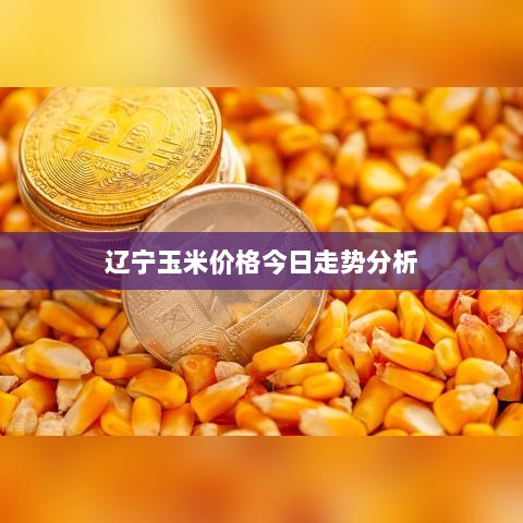 辽宁玉米价格今日走势分析