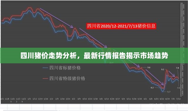 四川猪价走势分析，最新行情报告揭示市场趋势