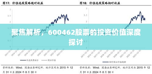 聚焦解析，600462股票的投资价值深度探讨