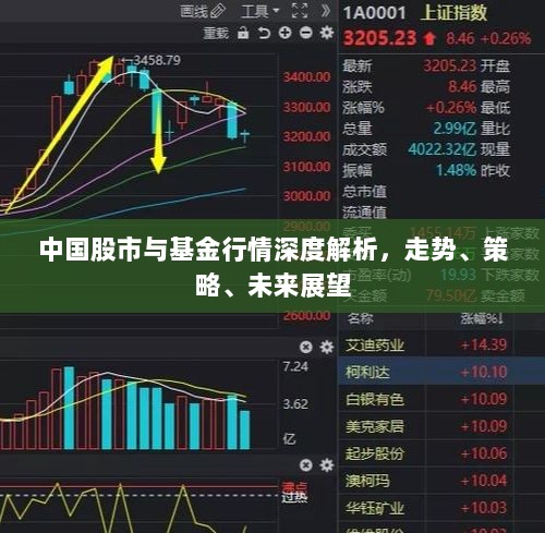 中国股市与基金行情深度解析，走势、策略、未来展望