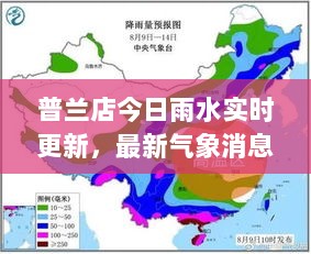 普兰店今日雨水实时更新，最新气象消息全解析