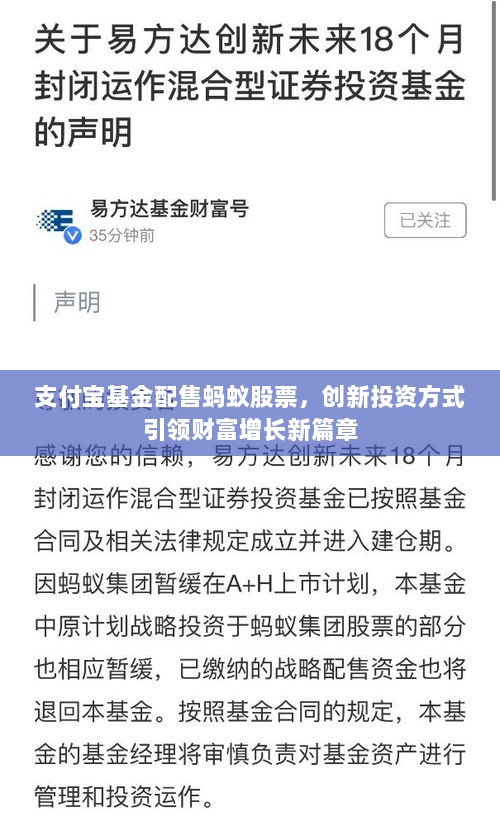 支付宝基金配售蚂蚁股票，创新投资方式引领财富增长新篇章