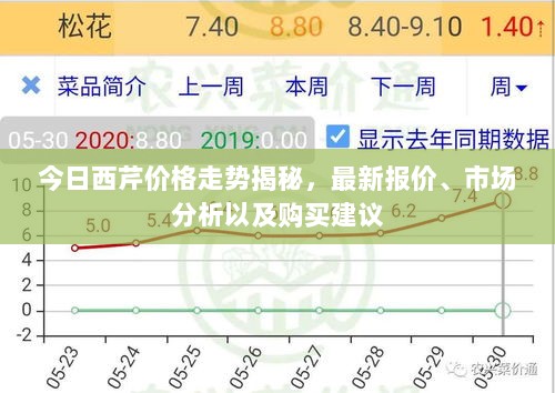 今日西芹价格走势揭秘，最新报价、市场分析以及购买建议