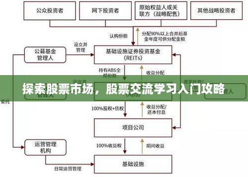 探索股票市场，股票交流学习入门攻略